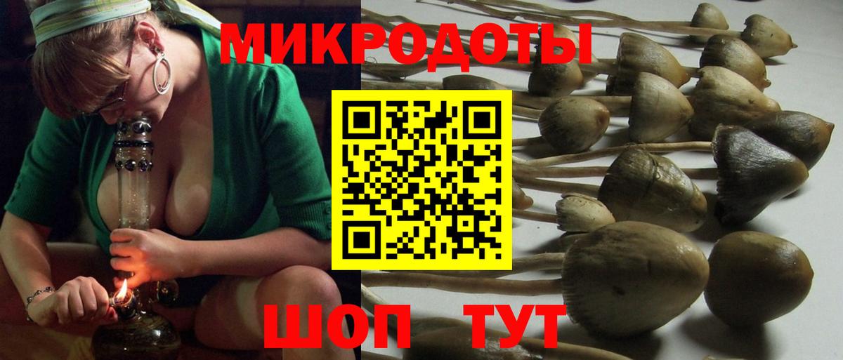Галлюциногенные грибы MAGIC MUSHROOMS Шахты