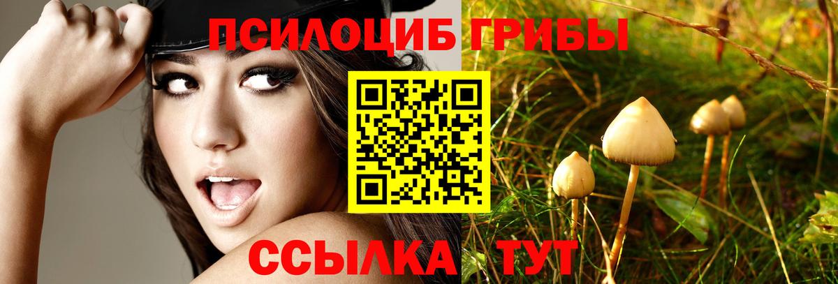 Шахты  Галлюциногенные грибы мухоморы  Вход с VPN 
